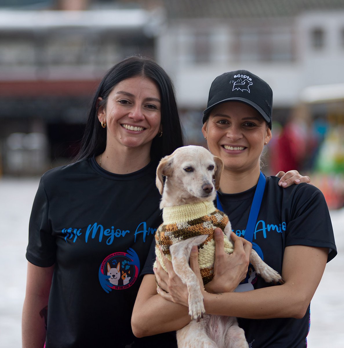 Asociacion de Protección Animal Mi Mejor Amigo (@asociacionmi) on Twitter photo Feliz cumpleaños, Andrea. Brindemos por nuestra amistad y la lucha por los animales. Que sigamos avanzando juntas en defensa de la vida. ¡Larga vida a ti! 💙💙💚💚 te queremos infinito. <a href="/andreanimalidad/">Andrea Padilla Villarraga🐆</a> Feliz cumpleaños, Andrea. Brindemos por nuestra amistad y la lucha por los animales. Que sigamos avanzando juntas en defensa de la vida. ¡Larga vida a ti! 💙💙💚💚 te queremos infinito. <a href="/andreanimalidad/">Andrea Padilla Villarraga🐆</a>