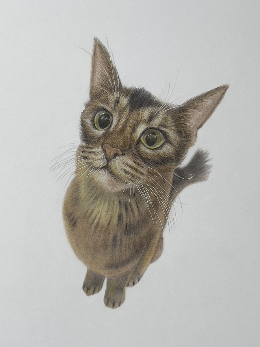 リアルな色鉛筆画