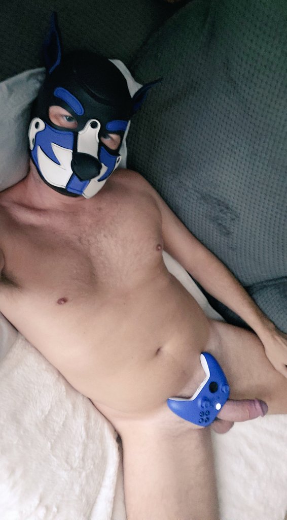 Pup Thunder tweet media