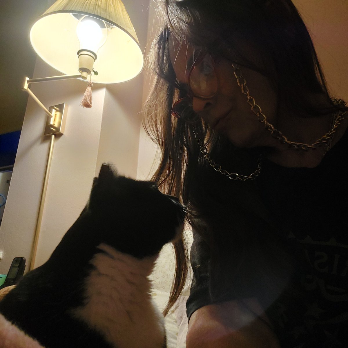 elaine levine tweet media