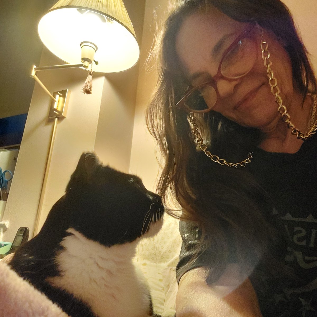 elaine levine tweet media