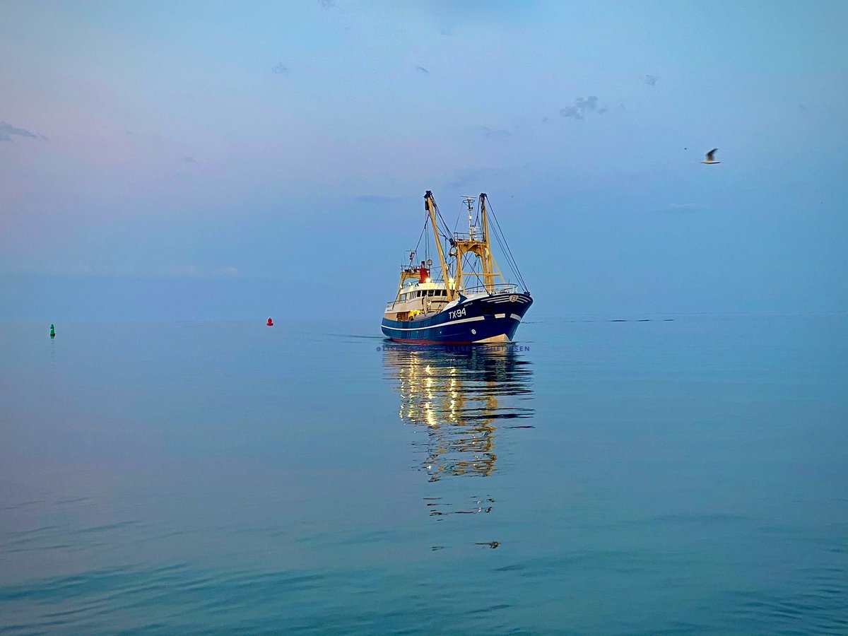 βοΈπ¦Ήβ¦ πππ€ππ₯π₯π ππππππ€π€ππ β₯π¦ΉβοΈ (@lisetteoptexel) on Twitter photo Horizonβ¦.zoveel betekenissen, zo mooi zo oneindig of juist zo onzichtbaar zoals wanneer zee in lucht lijkt over te gaan zoals hier op de Waddenzee toen de Texelse Vloot er nog was!
#Texel #Visserij <a href="/visserijnieuws/">visserijnieuws</a> <a href="/NLvisserij/">visserijnieuws NL</a> #Dag16 #fishermen #fishingboat #shrimpfishing Horizonβ¦.zoveel betekenissen, zo mooi zo oneindig of juist zo onzichtbaar zoals wanneer zee in lucht lijkt over te gaan zoals hier op de Waddenzee toen de Texelse Vloot er nog was!
#Texel #Visserij <a href="/visserijnieuws/">visserijnieuws</a> <a href="/NLvisserij/">visserijnieuws NL</a> #Dag16 #fishermen #fishingboat #shrimpfishing