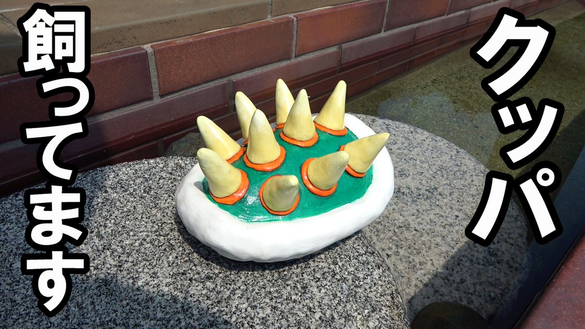 クッパ飼ってます
youtube.com/watch?v=PLss6D…