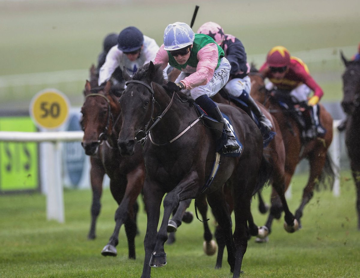 The Curragh Racecourse (@curraghrace) on Twitter photo π An impressive debut! Thread Of Gold takes the <a href="/coolmorestud/">Coolmore</a> <a href="/IrishEBF_/">Irish Stallion Farms</a> Maiden for <a href="/WillieMullinsNH/">Willie Mullins</a> & <a href="/joeysheridan8/">Joey Sheridan</a> . ππ
Congrats to all connections! β¨ π An impressive debut! Thread Of Gold takes the <a href="/coolmorestud/">Coolmore</a> <a href="/IrishEBF_/">Irish Stallion Farms</a> Maiden for <a href="/WillieMullinsNH/">Willie Mullins</a> & <a href="/joeysheridan8/">Joey Sheridan</a> . ππ
Congrats to all connections! β¨