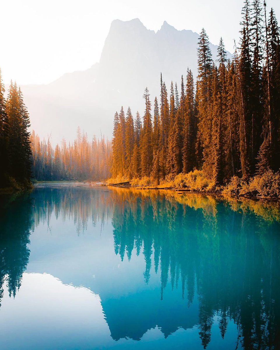 visualsofearth1's tweet image. Summer in the Canadian Rockies