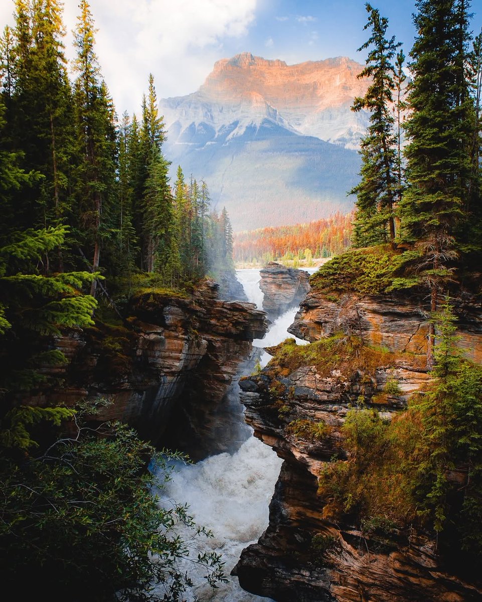 visualsofearth1's tweet image. Summer in the Canadian Rockies