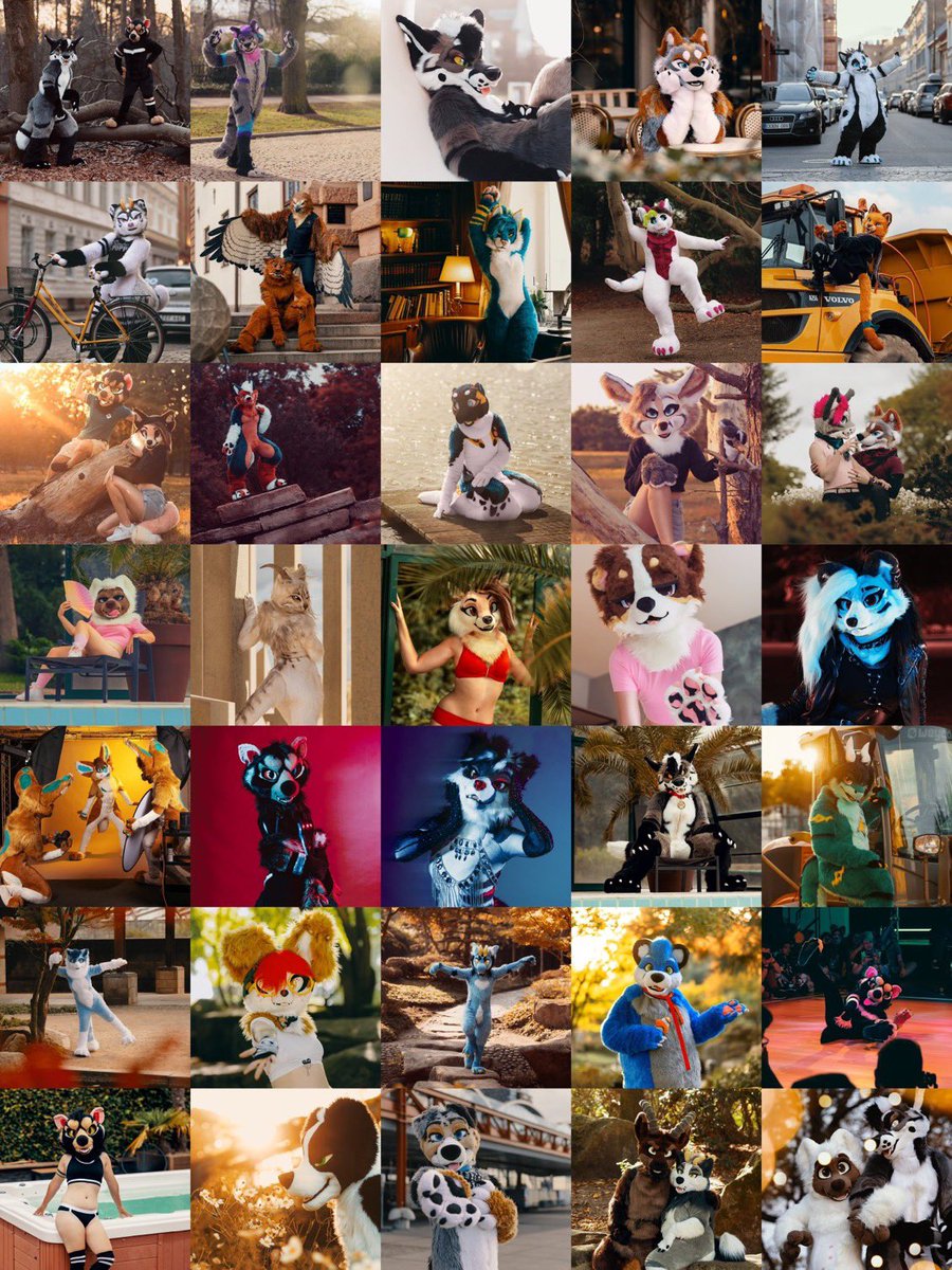 FENNECPARTY's tweet image. Anyone interested in a late summer photo shoot? Somewhere after Eurofurence?~ DM me!