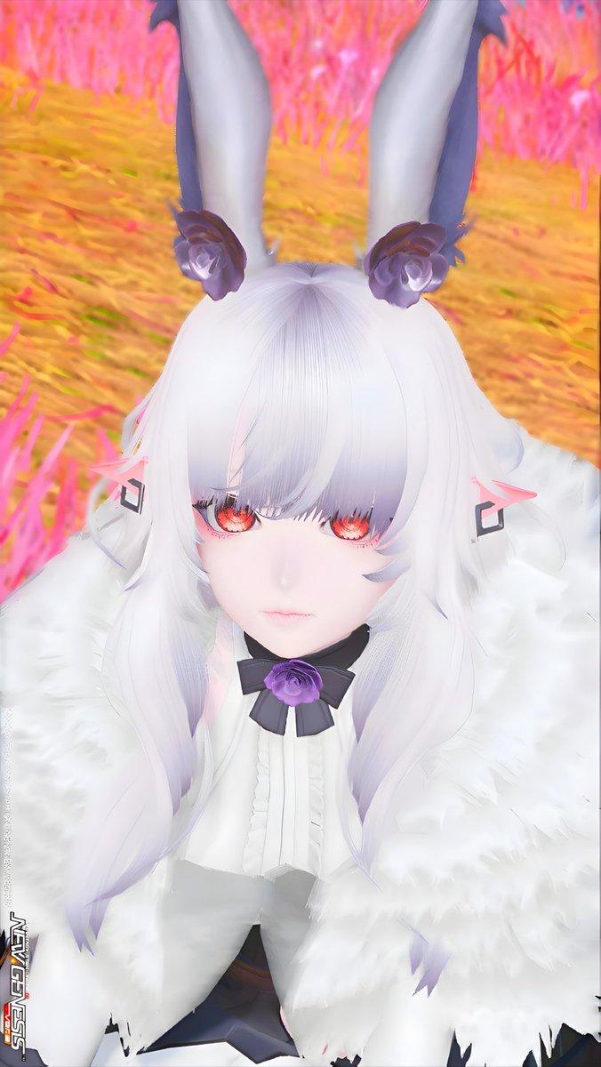 Lapp_Suze5's tweet image. 