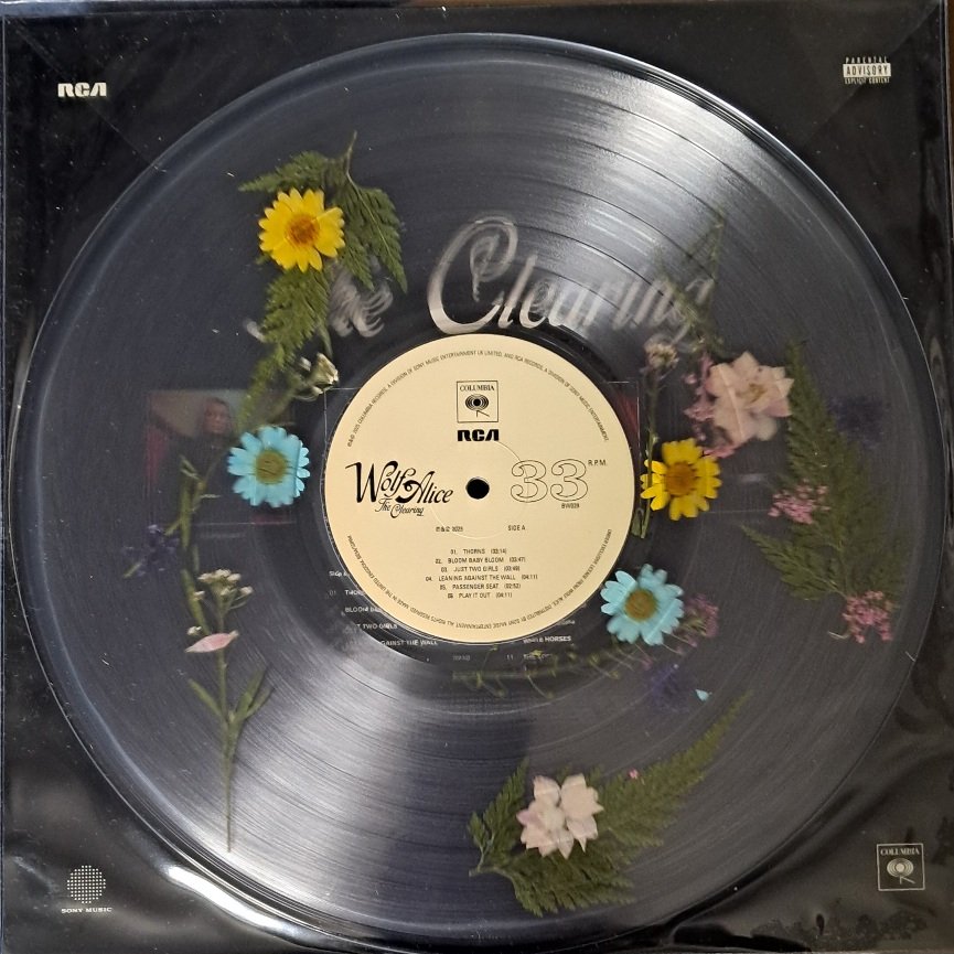 This new <a href="/wolfalicemusic/">Wolf Alice</a> 'pressed flowers' LP is a first for me.  I have picture discs, coloured vinyl, shaped vinyl, lathe-cuts, odd-sized vinyl... but nothing like this, where real flowers are pressed inside the two sides of vinyl.

I'm about to give it a spin...