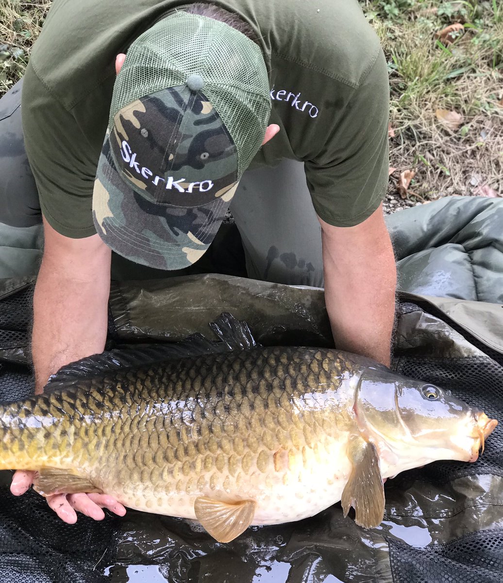 temperature drop from high 30s to mid 20s! 
With a good bit of rain🌧 as well,it was time to get back down my river 😉
A quick recast with a tiny bag on had the rod screaming for attention 🥷
And slowly but surely a chunky common Rolled over the net cord Weighing in at 32lb-4oz!