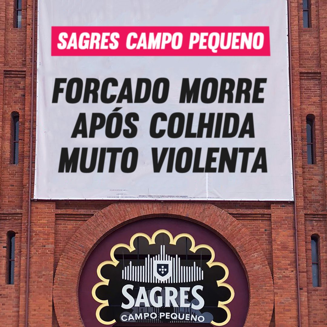 Basta de touradas tweet media