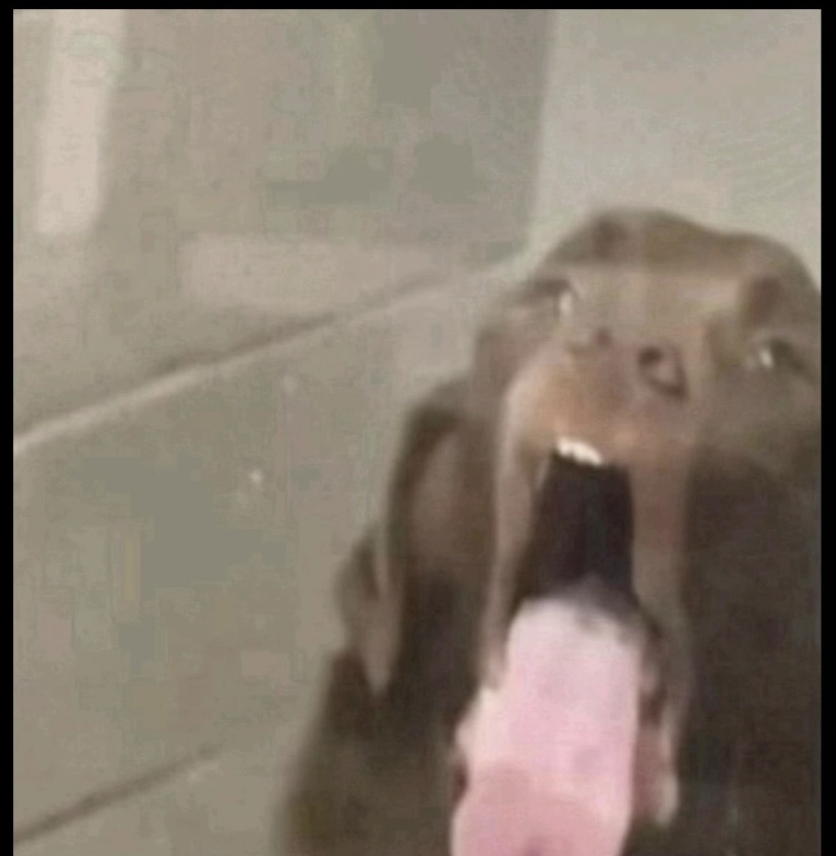 Vibez🌸🌸 tweet media