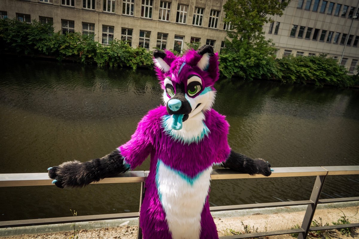 What?? Never seen a dog cooling down with the tongue? ;P

📸 <a href="/Ryidergon/">Ryius @NFC🚵‍♂️</a>