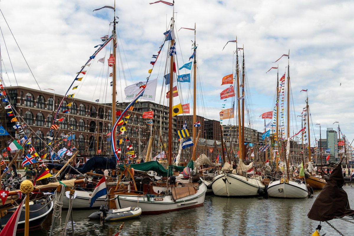 🖖🏽ilona tweet media