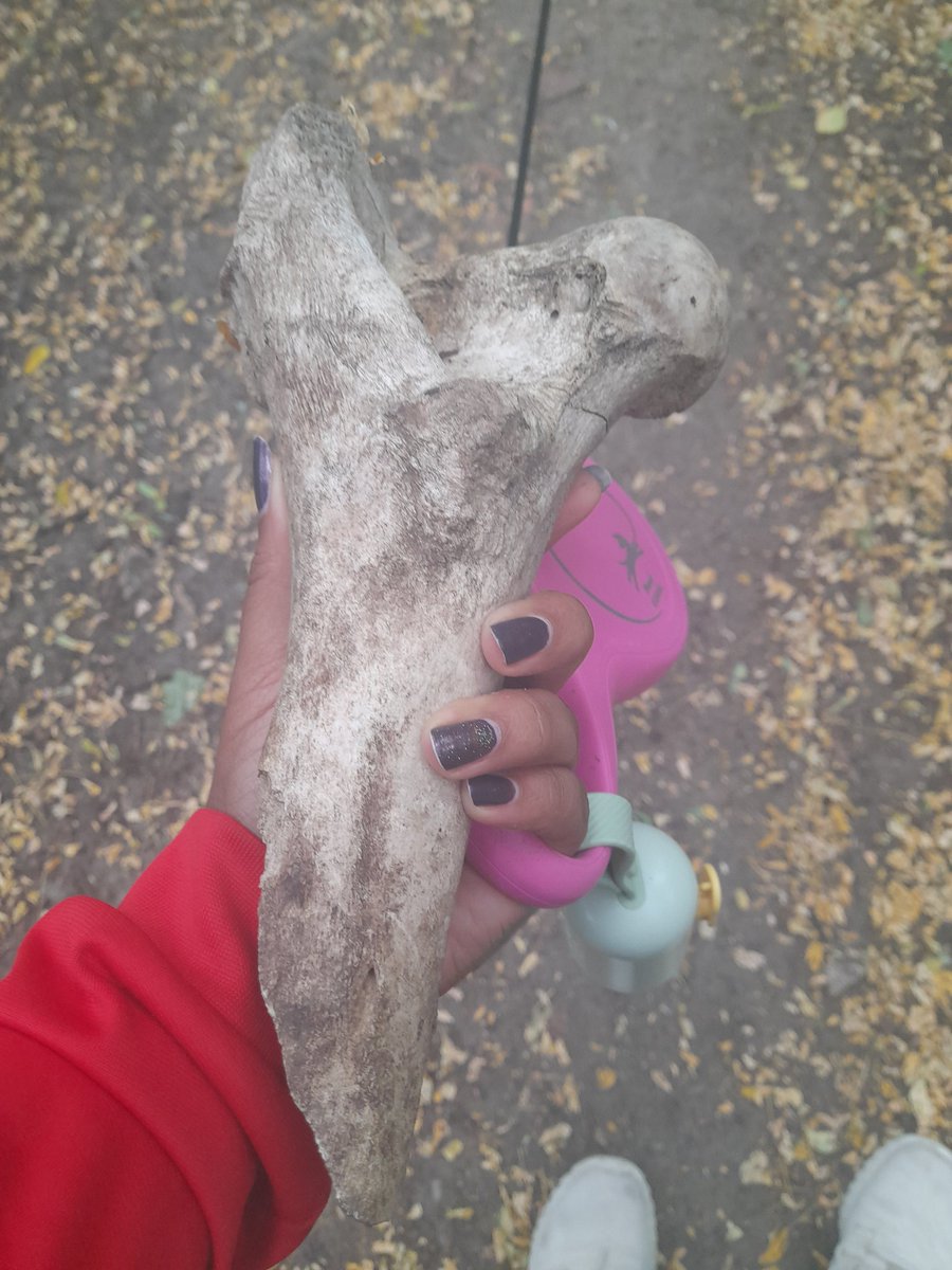 Working on comics, until I drop some pages look at my big boner in the woods