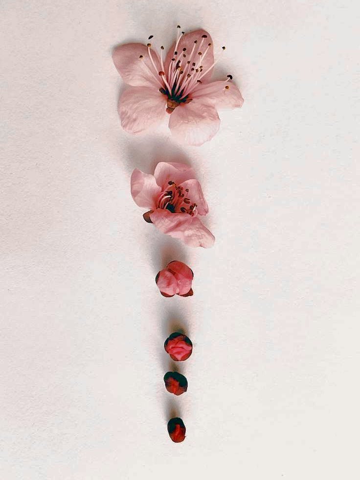 New moon, new beginnings —