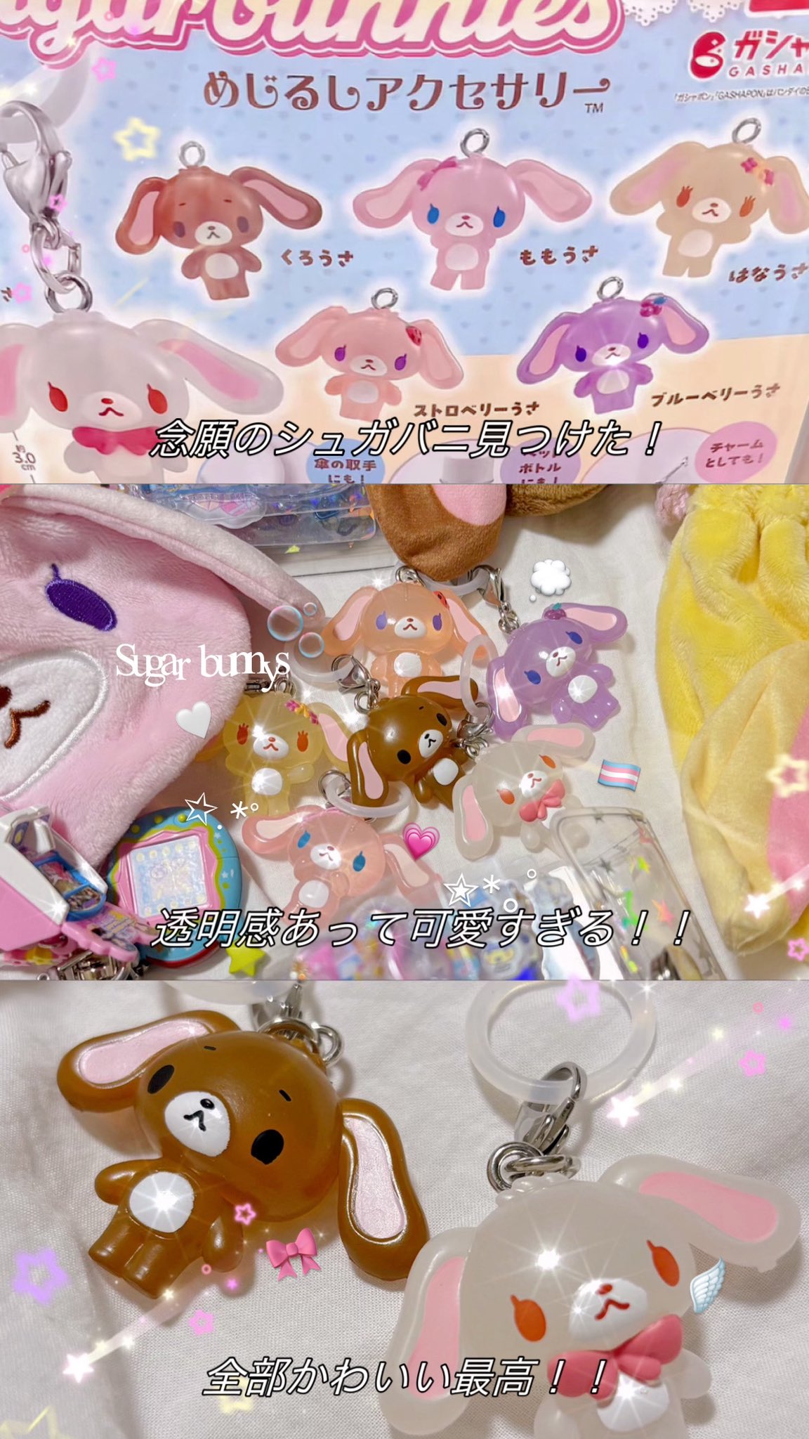 シュガーバニーズ - Search / X