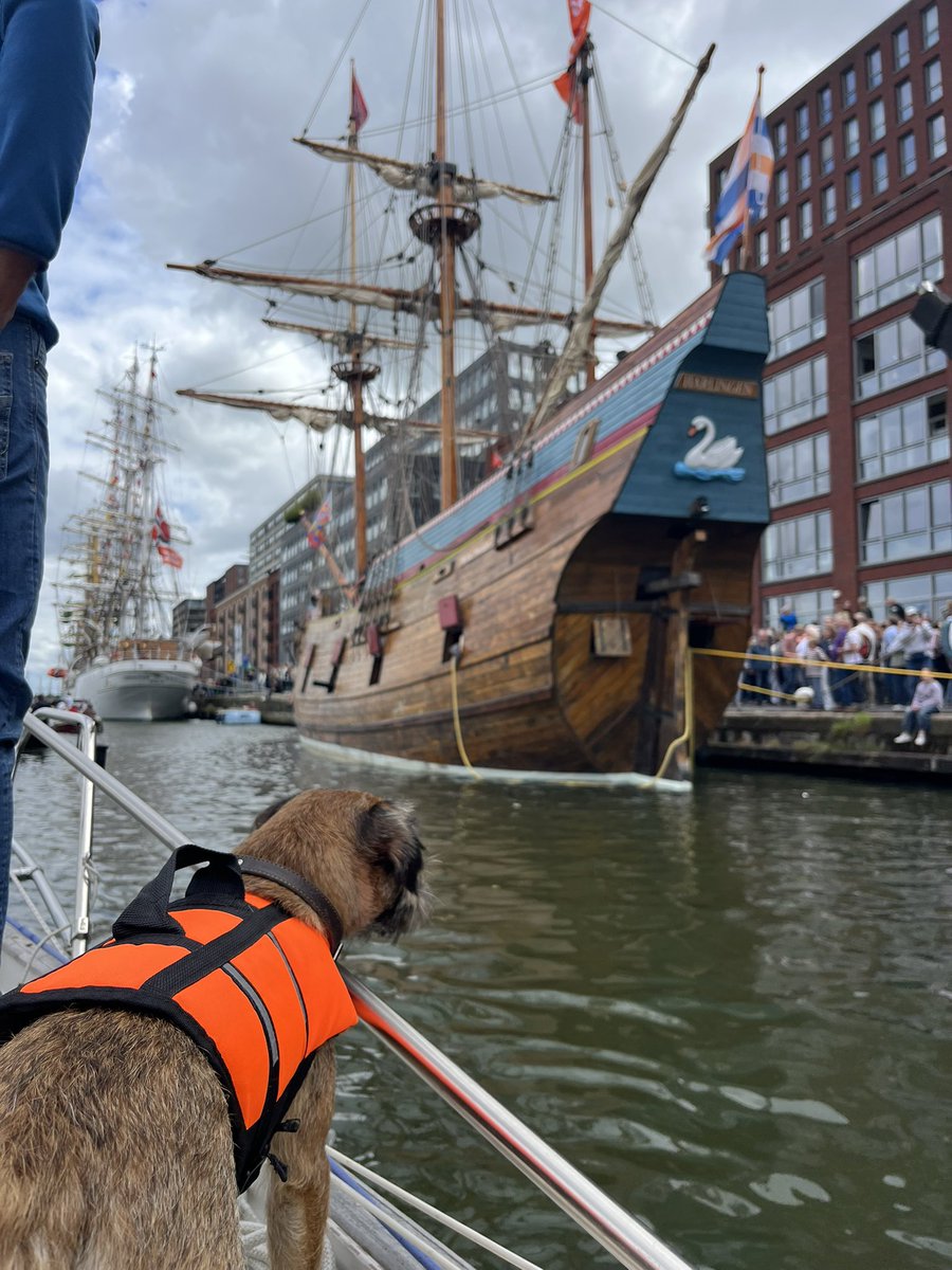 Sepp🐾 tweet media