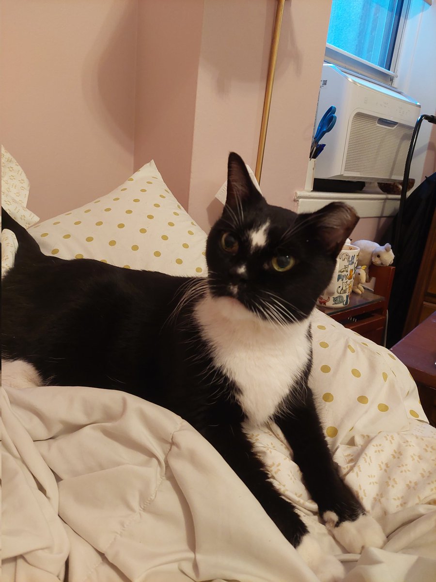 elaine levine tweet media