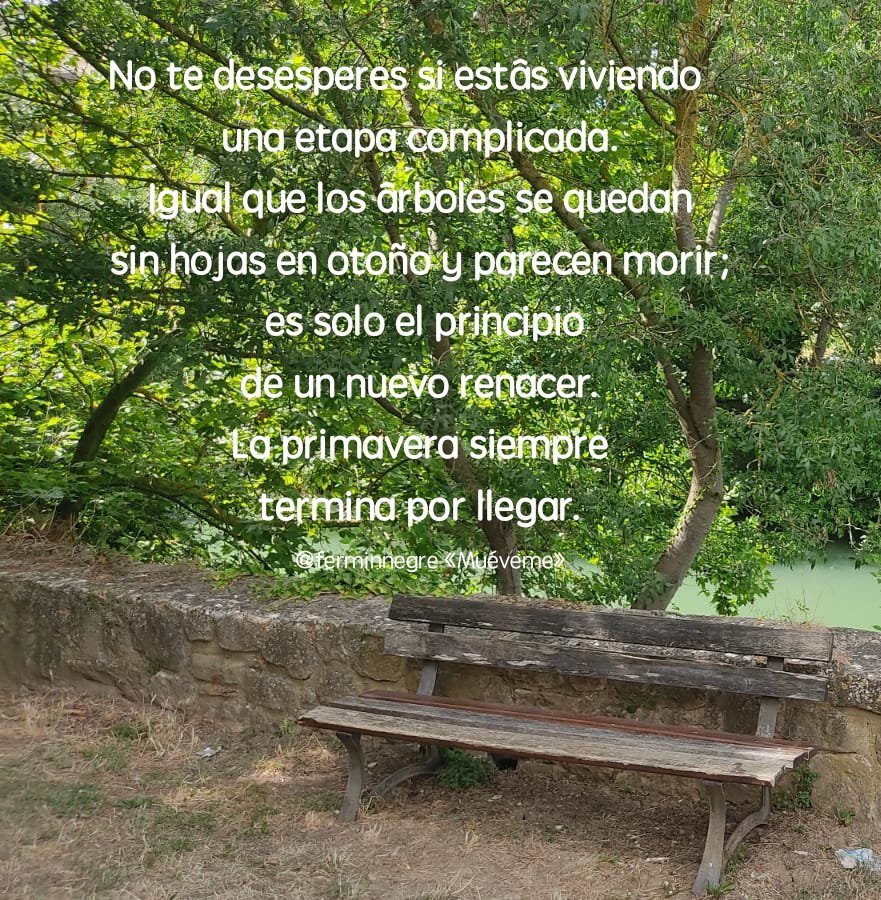 ferminnegre's tweet photo. No te desesperes si estás viviendo una etapa complicada. https://t.co/EoMr20aMEX