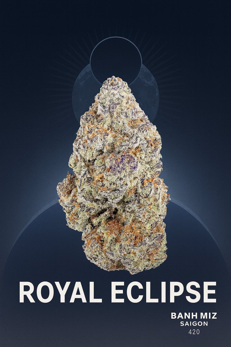banhmiz420's tweet image. Royal Eclipse 👑🌘 flying steady 🔥 crown blaze on every hand
📍Banh Miz Saigon 420 | Ho Chi Minh, Vietnam
#RoyalEclipse #BanhMizSaigon420 #Pluggin #Weed #Loud #Green  #Backpacker #TravelHigh #WeedTourism #420Tourist