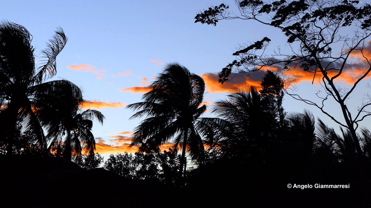 wocmultimedia tweet media