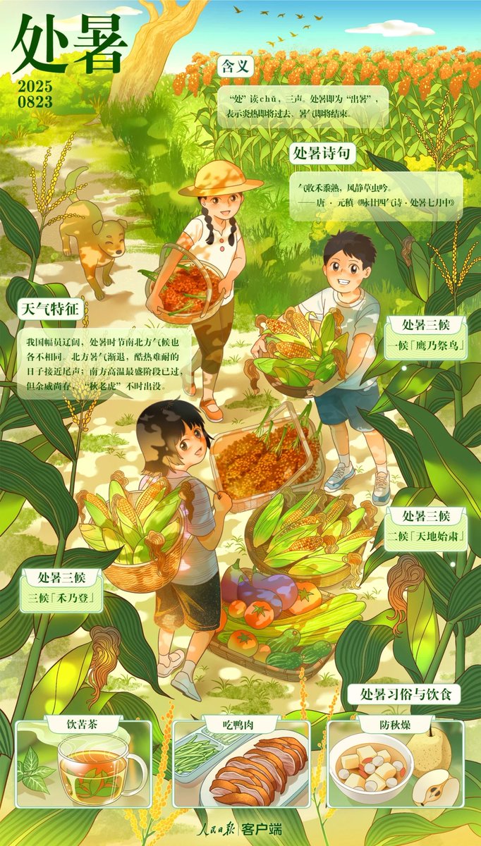 离离暑云散，袅袅凉风起
池上秋又来，荷花半成子 
     今天4时34分秋季的第二个节气处暑伴着微凉的秋风来到了我们身边