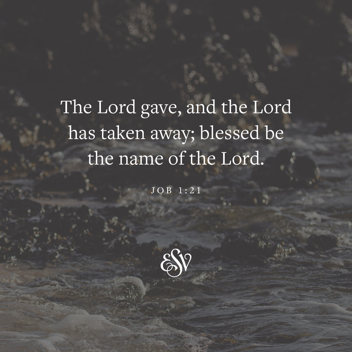 The Lord gave, and the Lord has taken away; blessed be the name of the Lord. 
—Job 1:21 (ESV) 

#Verseoftheday #ESV #Bible #Job #BibleVerse