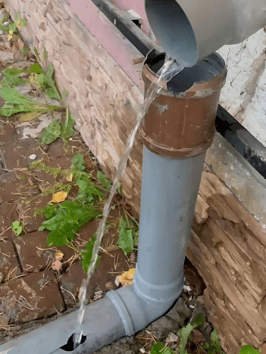 لما تكون قراراتك غلط ،بس أمورك ماشية 😂😂