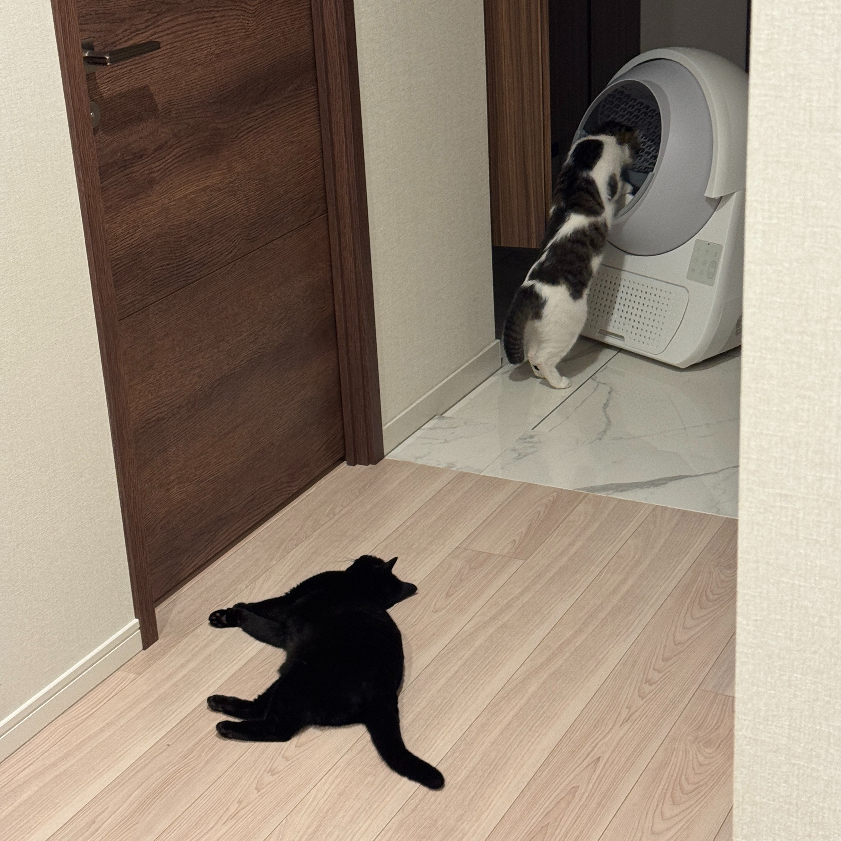Rui Ueyama (@rui314) / X