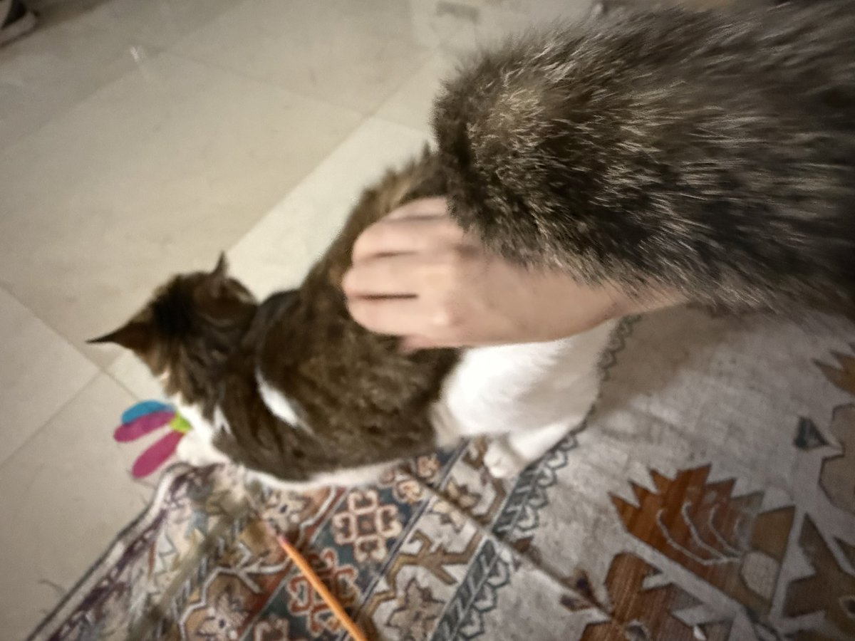 삐삐특
장난감 한 번 잡을 때마다 칭찬을 이만큼을 해줘야 함 
사냥 1회 성공. 칭찬시간 5분.