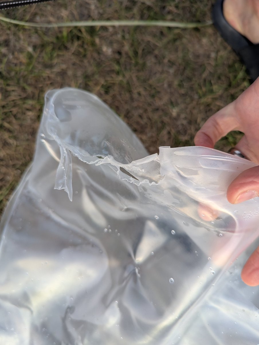 Tim Brown tweet media