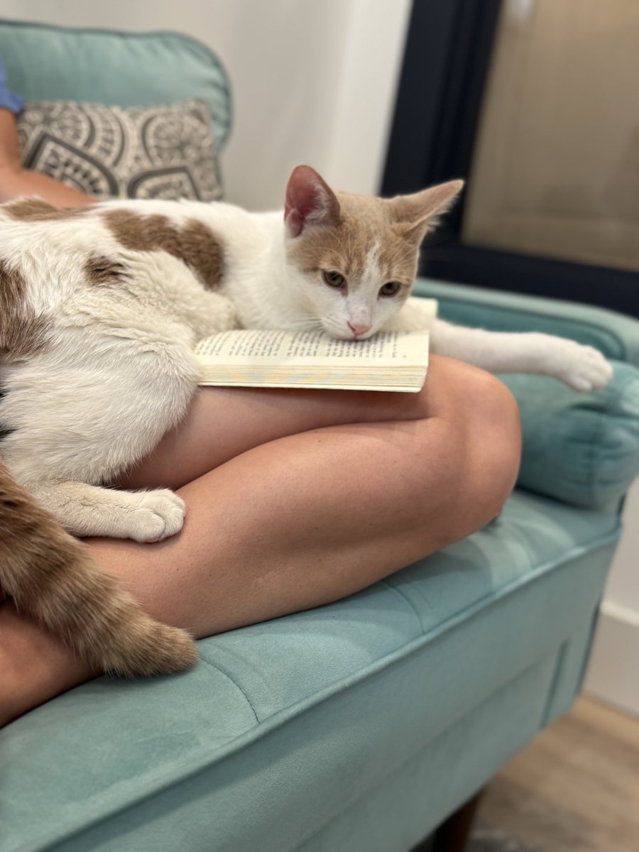 Max Reuben tweet media