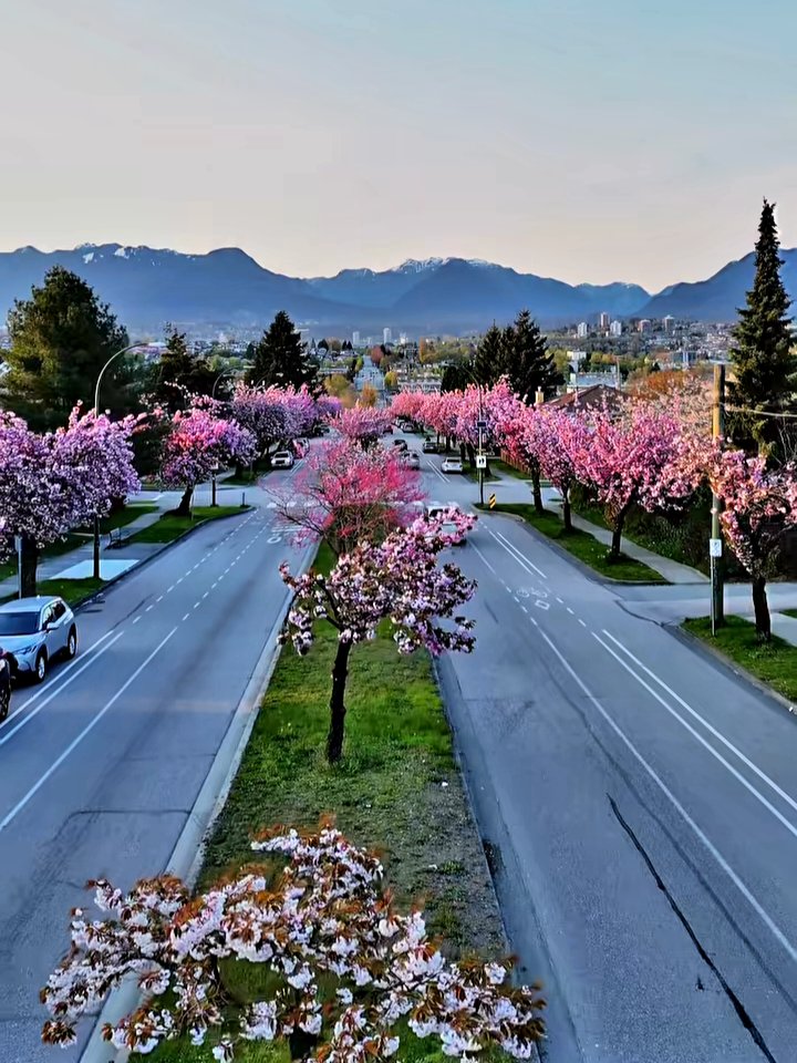 NancyDi301258's tweet image. Feliz y bendecido día familias desde el  pueblo  de Vancouver Canadá #FelizDíaFamilias #bbtvi