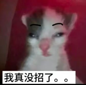节操熊熊熊熊熊熊 tweet media
