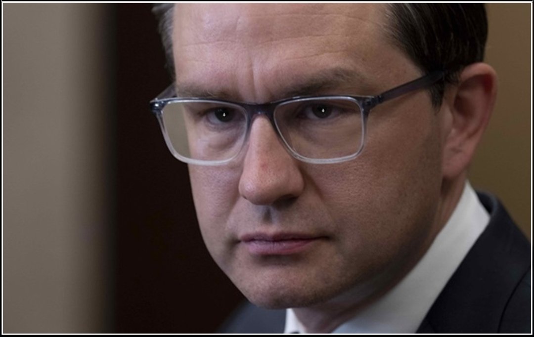 Ab Gamble 🇨🇦, grateful Canadian.. tweet media