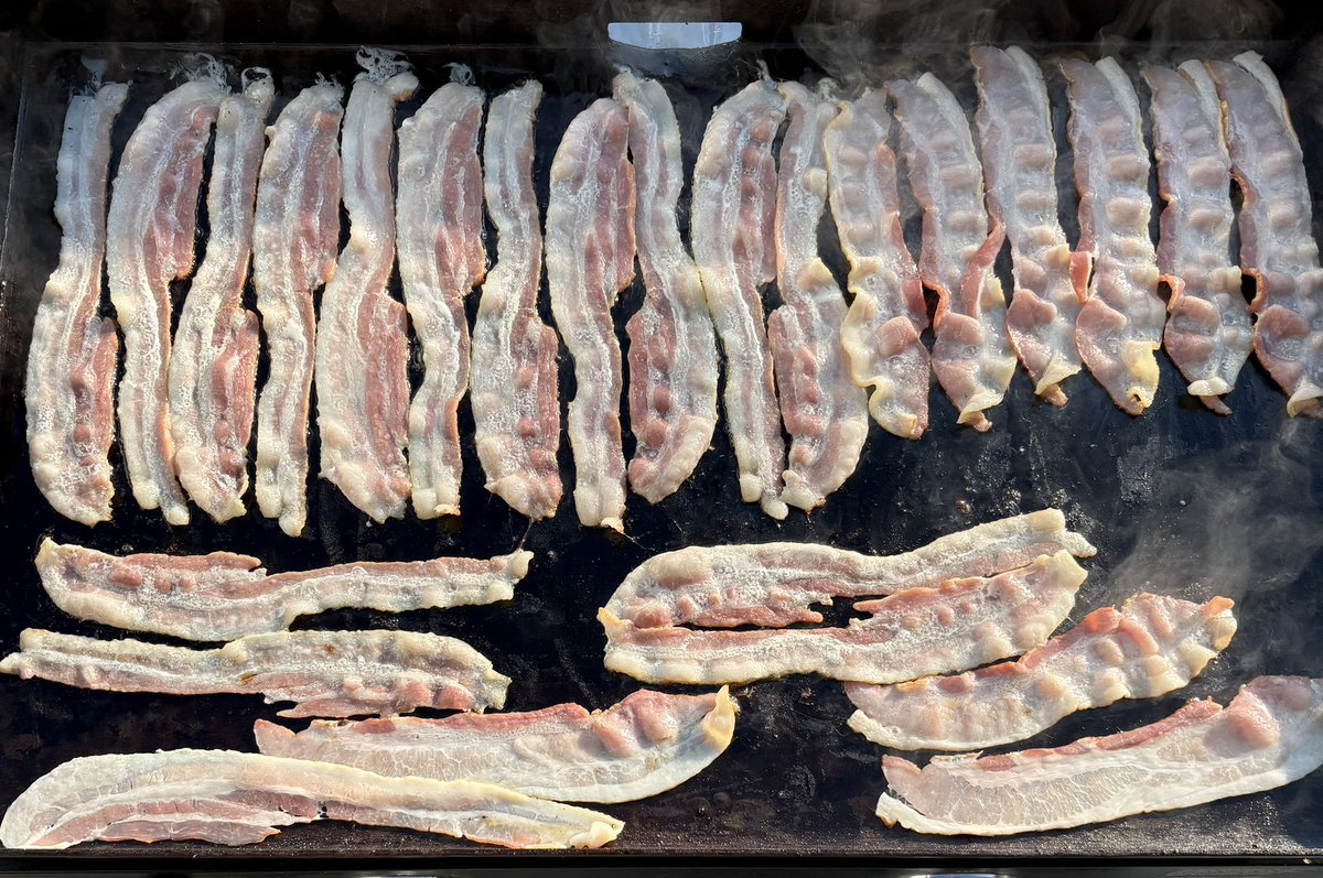 Mike Porth tweet media