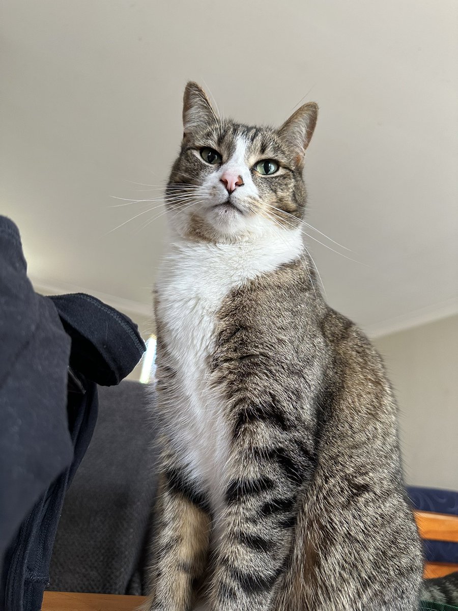 ਸਰਗੁਣ/ਵੀਰ (@hack3dbyawriter) on Twitter photo 