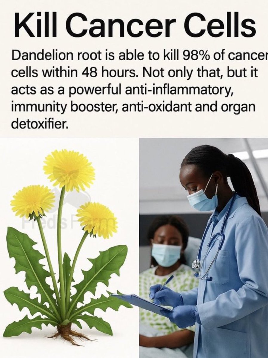 Dandelion Root👇🏽

Link: shopfredsfarm.com/product/dandel…