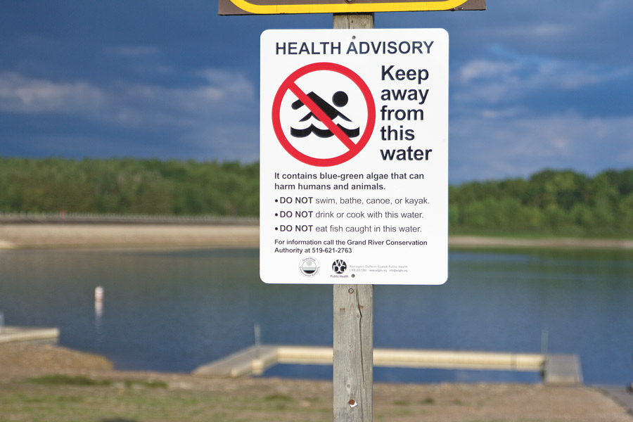 The beach at Conestogo Lake Conservation Area is closed for the rest of the summer following a blue-green algae bloom and reduced water levels: ow.ly/vleb50WKF0Z