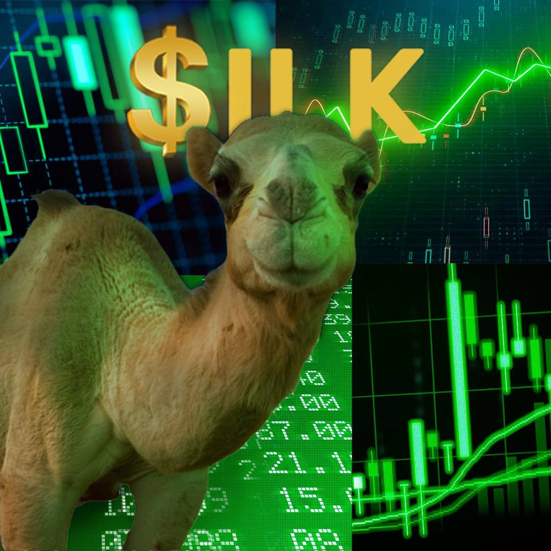 Meme image of a camel with $ILK and crypto charts