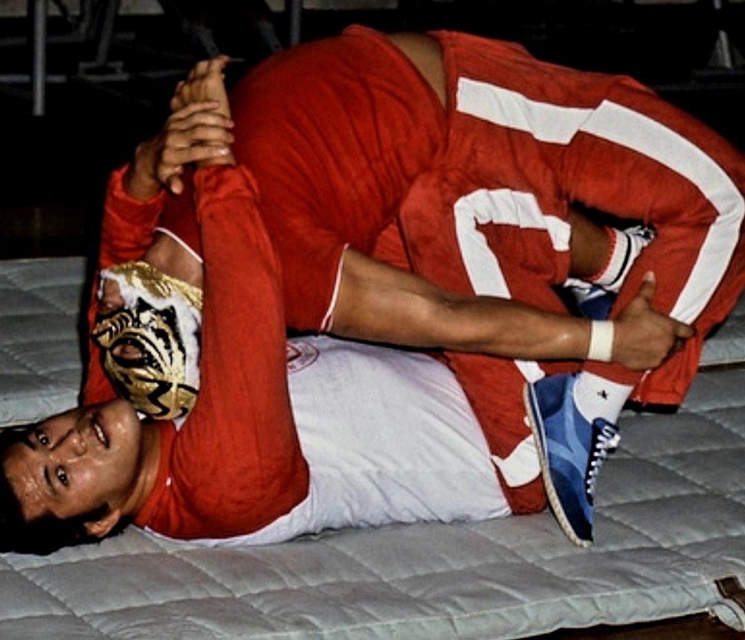 プロレスミニカード　タイガーマスク　アントニオ猪木 昭和レトロ ／ タイガーマスク5円引きブロマイド／アントニオ猪木