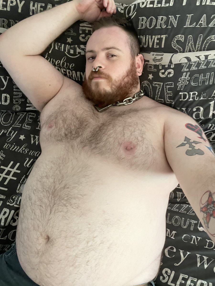 Just here awaiting snuggles 🐻 anyone gonna provide?