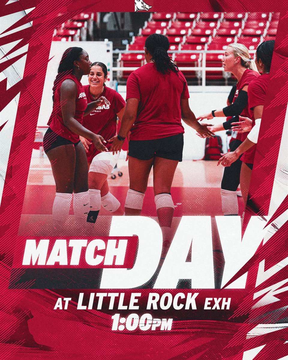 Razorback Volleyball tweet media