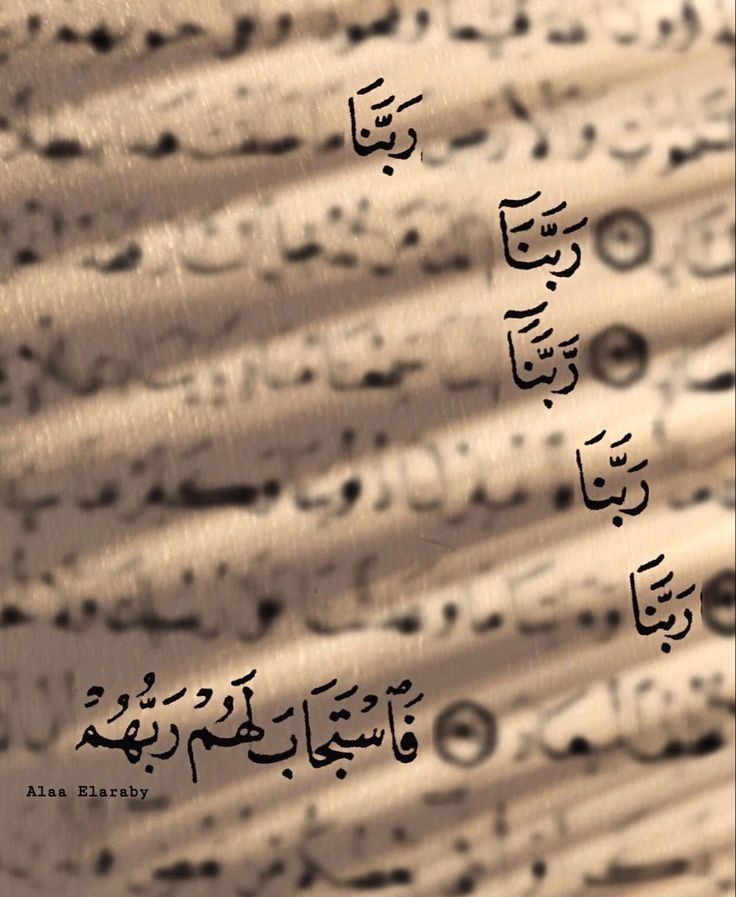 medineehli571's tweet photo. “Vallahi ısrarla duâ edene 
Allah, her dilediğini verir..” https://t.co/umqcSit7cs