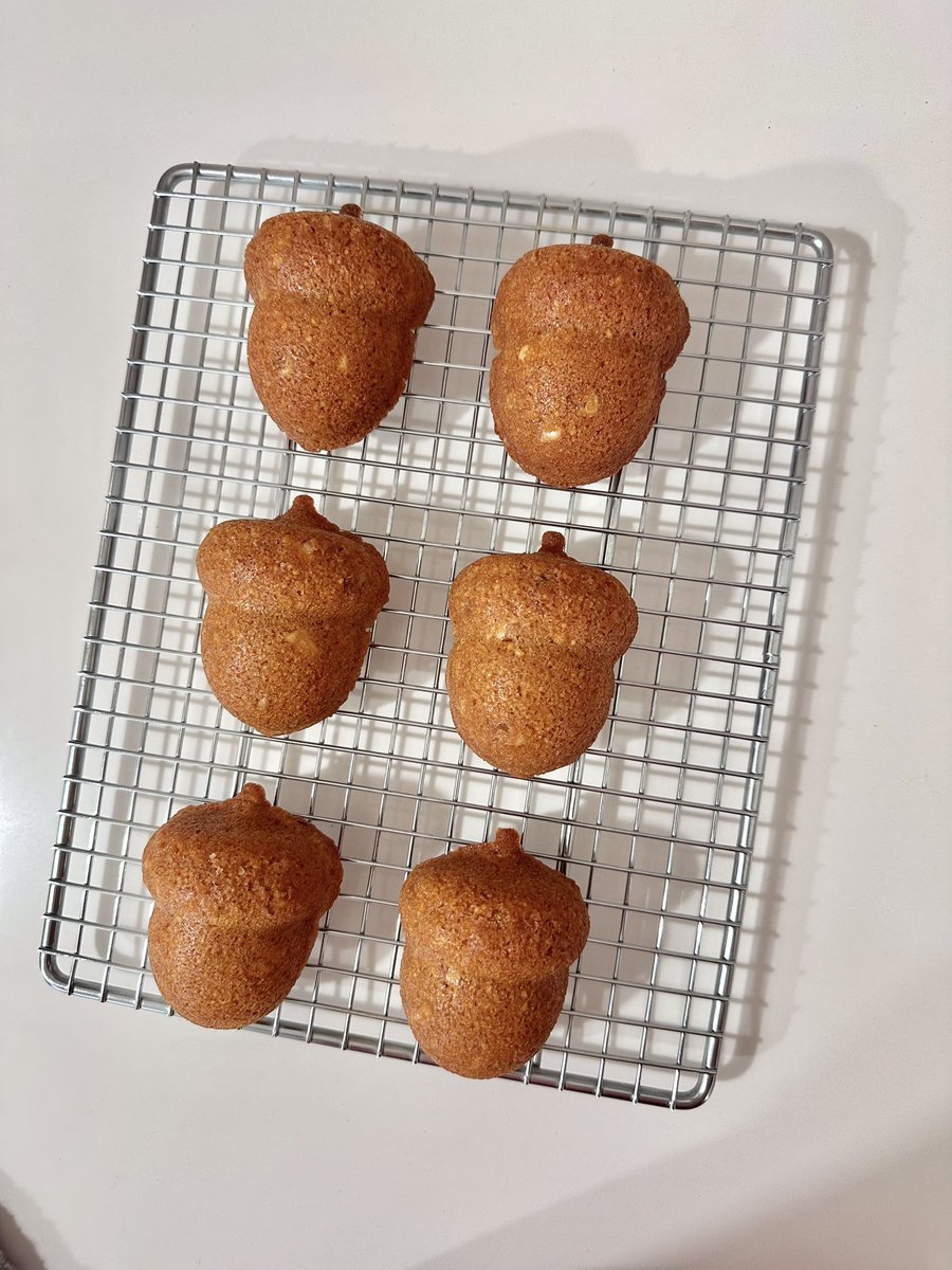 どんぐり♡ページ となりのトトロ あおぞらどんぐり ペーパーホルダーカバー