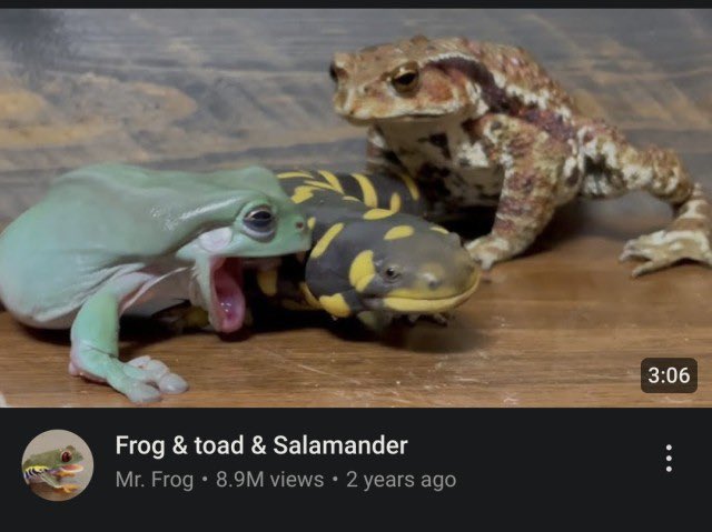 i love the range of emotions in these creatures