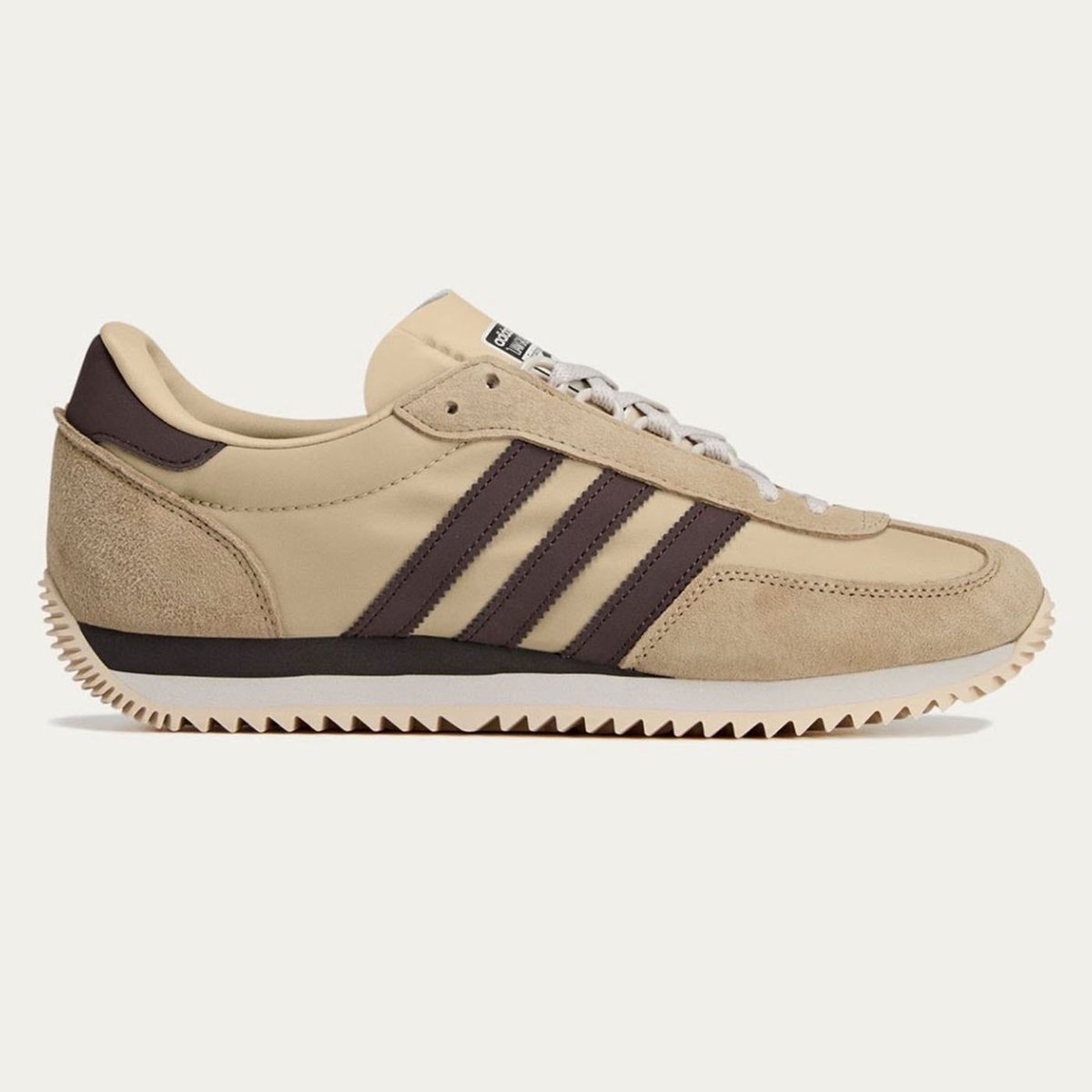 1 of 100 tweet media