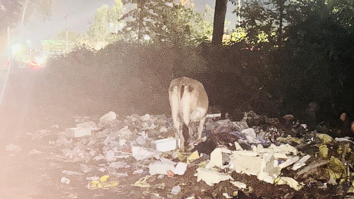 mrdexteroushere's tweet photo. @DdnNagarnigam please look into this garbage spot near the entrance of Laxman Sidh temple, Harrawala. This has been piling up day by day and walking through this spot has become terrible experience for common citizens.
#SwachhBharat 
#Dehr https://t.co/g4n5UPkCAm