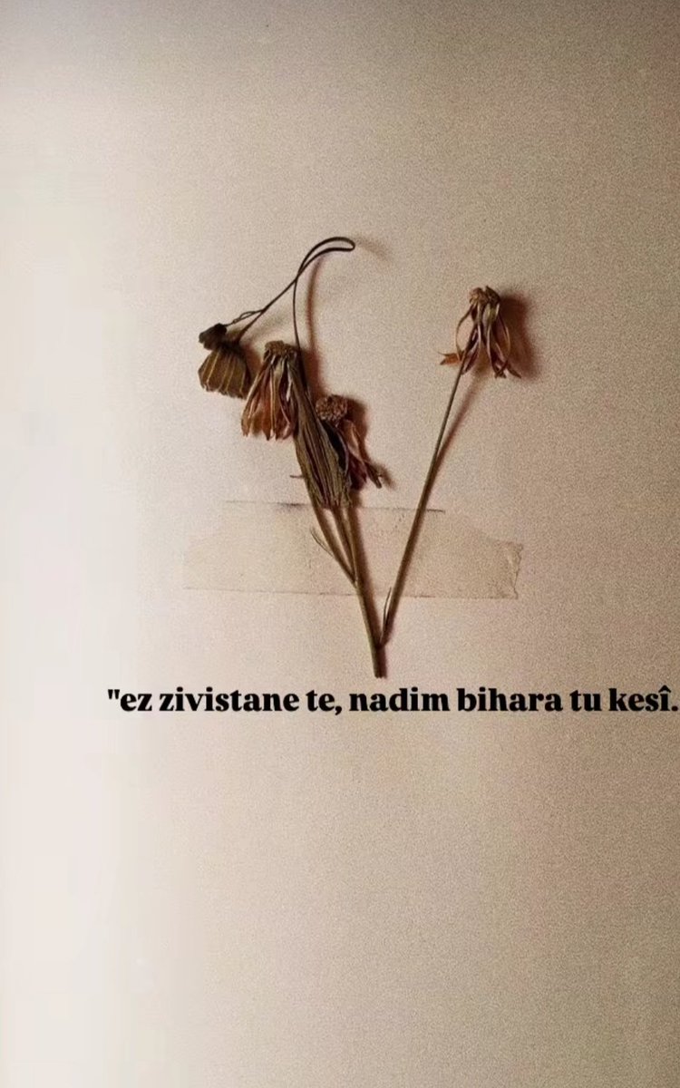 Fatoş (@gc_fatos) on Twitter photo 